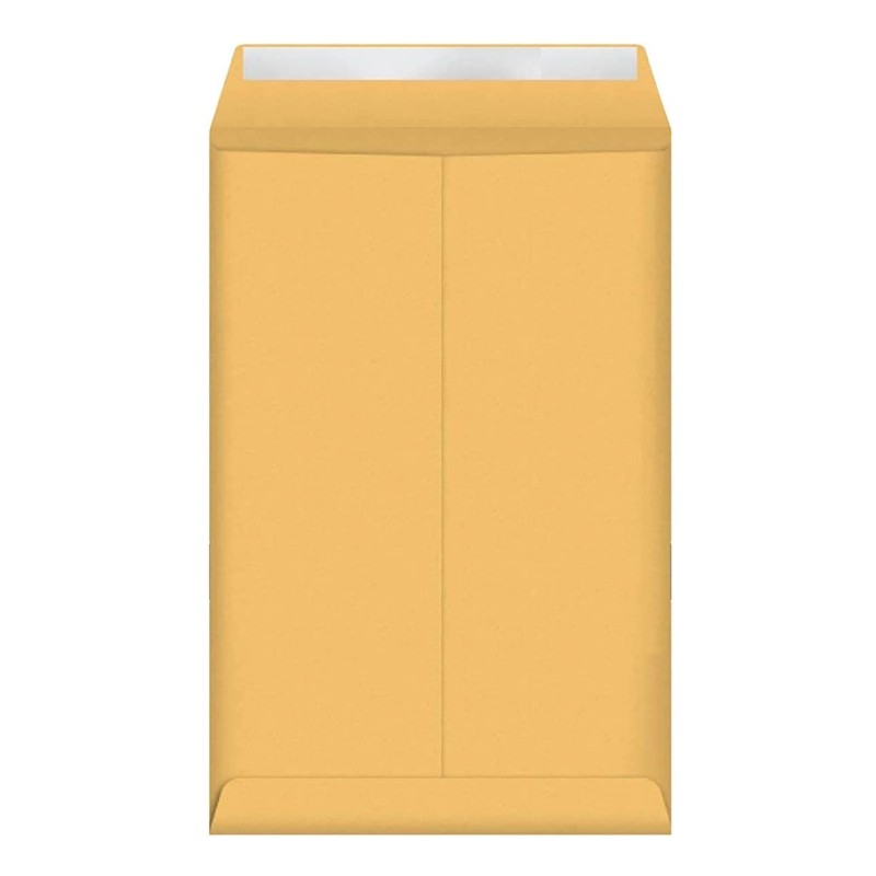 Sobres Manila 6" x 9" (15.2 cm x 22.9 cm) Autoadhesivos, Paquete/100