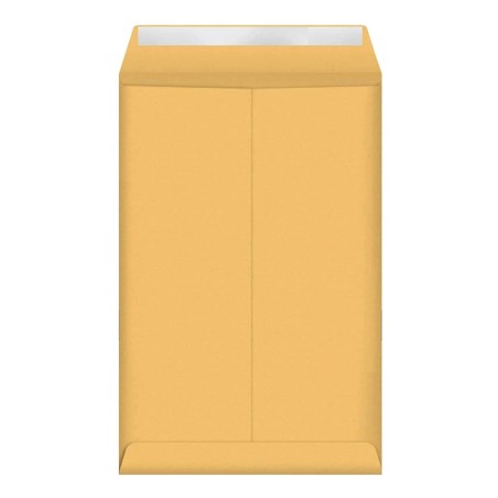 Sobres Manila 6" x 9" (15.2 cm x 22.9 cm) Autoadhesivos, Paquete/100