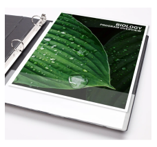 Carpeta de 1'' Avery, 3 Arillos en O, de 11'' X 8.5'', Capacidad para 175 Hojas, Negra