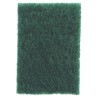 Fibra Verde para Limpieza, 1 fibra verde de 6'' x 9''. 
