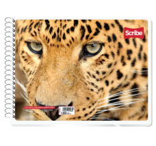 Cuaderno Doble Raya, Forma...