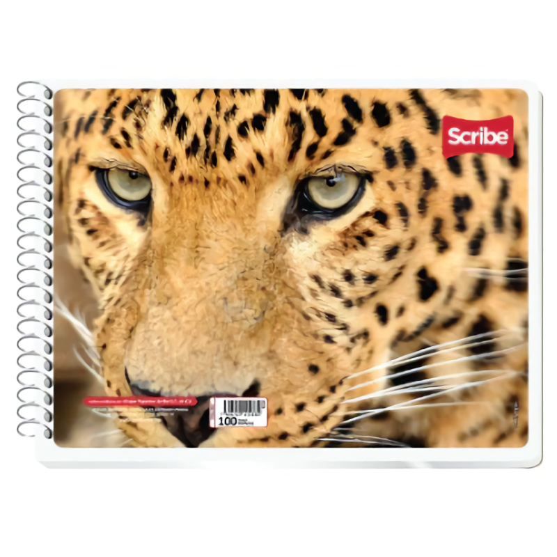 Cuaderno Doble Raya, Forma Italiano Estrella, Espiral, 100 Hojas