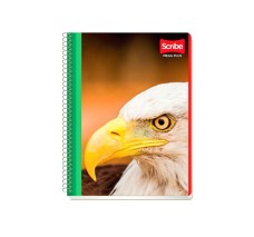 Cuaderno Doble Raya, Forma...
