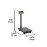 Báscula Electrónica de plataforma, plegable, 200 kg. Pretul