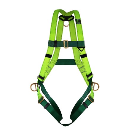 Arnés de Cuerpo Completo con Anillo “D” en La Espalda