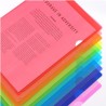 Folder para Archivo de Plástico Transparente, Tamaño Carta, Colores Variados, Paquete/12