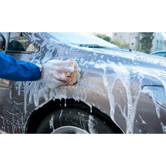 Limpiadores para Alfombras